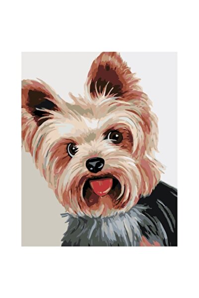 Painting by numbers Set pictura pe numere Catel Yorkshire, panza bumbac pe ra...