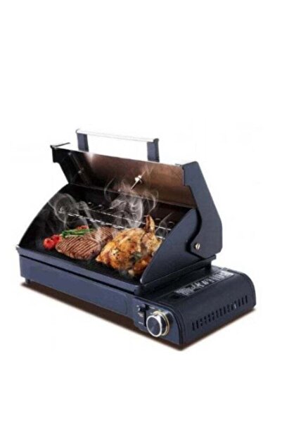 DLC Portable Gas Grill for Multi-Use Trips with Bag