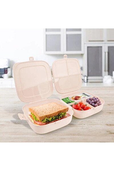 EA HOME Pink Color Double Lid Compartmented Lunch Box