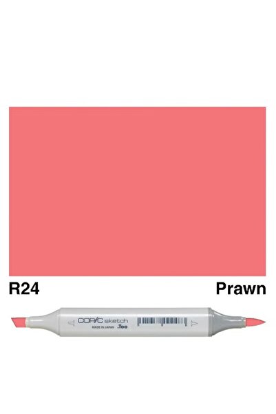 Copic Sketch 110 Graphic Art Marker Special Twin Tip