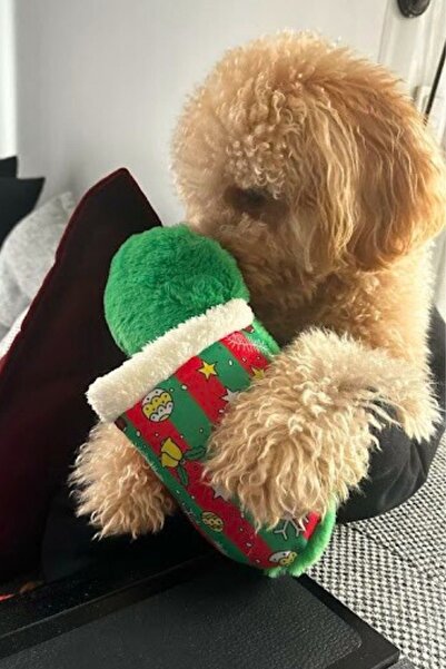 Havhav 2’li Sesli Peluş Terlik Köpek Oyuncağı | Mama Saklamalı Zeka Geliştirici Oyuncak