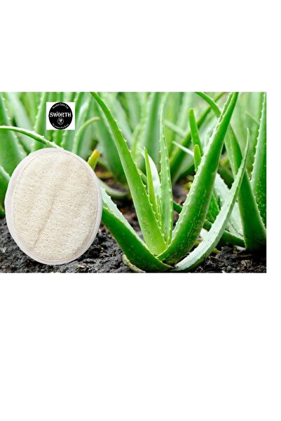 SWORTH PROFESSİONAL SOLİNGEN ŞEKİL كيس صابون من ألياف اليقطين والألوة فيرا مق...