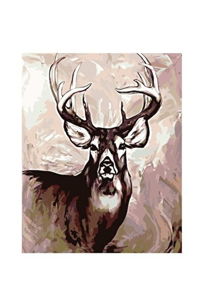 Painting by numbers Set pictura pe numere Cerb, panza bumbac pe rama lemn, 80...