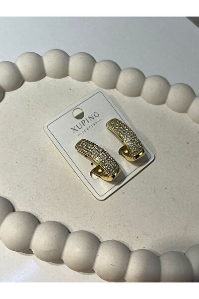 Pure Oval Model Taşlı Çelik Küpe