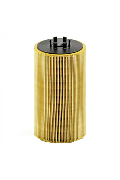 MANN Filtru de ulei pentru Bredamenarinibus Vivacy, Dennis Elite 2, Olympus, Phonix 2