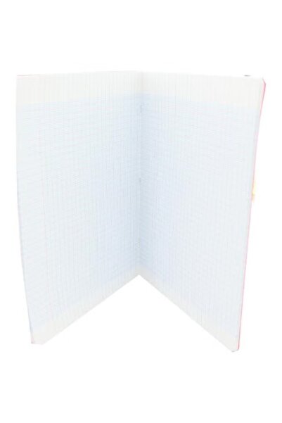 CONQUERANT Notebook (Seyes) 17 x 22 cm 96 Pages (48 Sheets) Square Ruled (French)