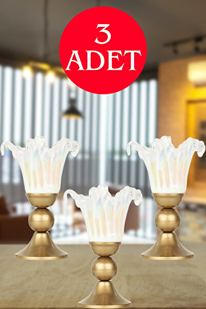 Begüsa Luniva 3 Adet Camlı Aksesuar Eskitme