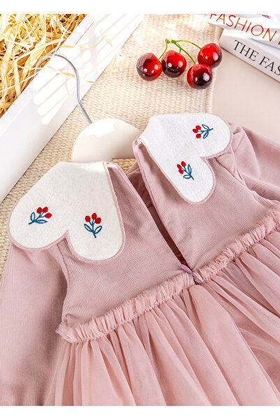 Babymod Stylish Special Occasion Velvet Baby Dress with Baby Collar and Tulle Skirt