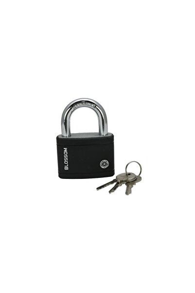 Strend Pro Lacat BLOSSOM, culoare, 63 mm,