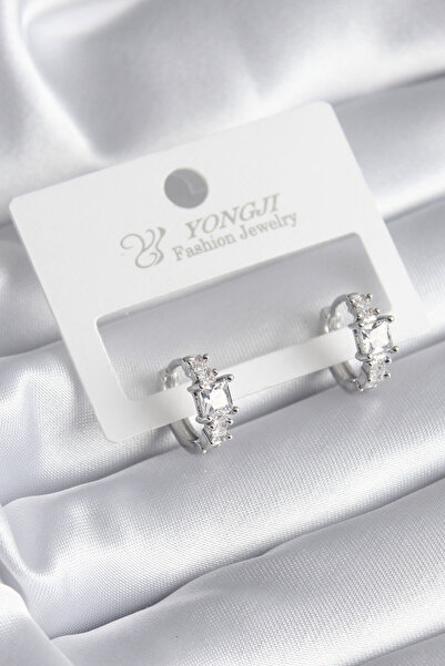 Lisinya Brass Silver Color Zircon Stone Women's Earrings - Tygoo