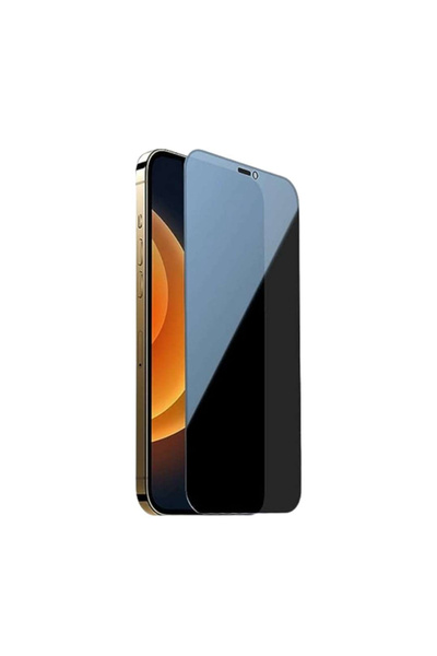 Apple Privacy glass film for Iphone 13 MINI - Full glue