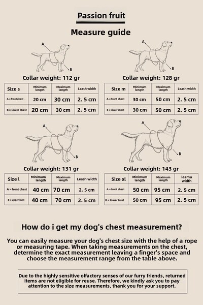 pasiole Dog Harness Walking Harness Neck Harness
