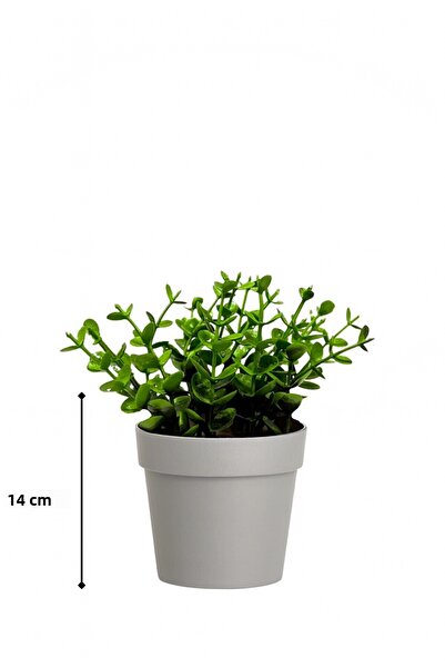 HOMİNG Fika Artificial Green Decorative Plant