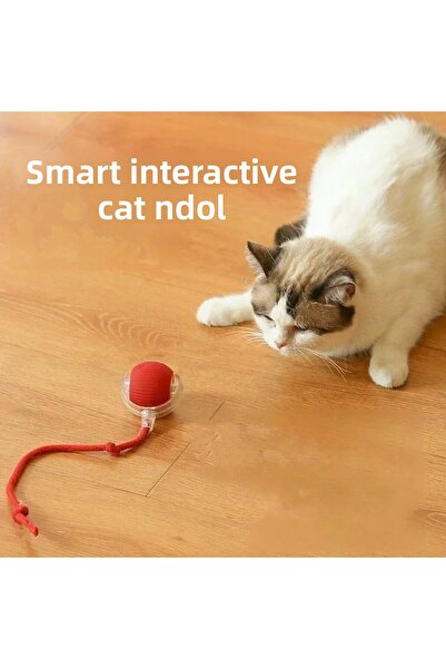 MDS Smart Self-Rotating Cat Toy 360 °   Movement with Bird Sounds: Fun and Exercise