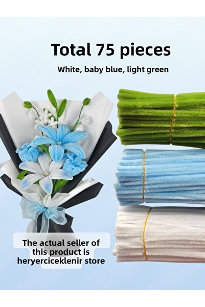 hyc heryerçiçeklenir Set of 3 White, Baby Blue and Light Green, Feathered Wir...