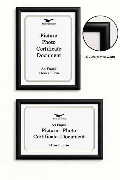 Raven Art Studio Pergamon Dimensiune A4 21cm x 30cm Imagine Fotografie Document Poster Serviciu de cadru pentru documente Protejat, rezistent la spargere Plexiglass Ca