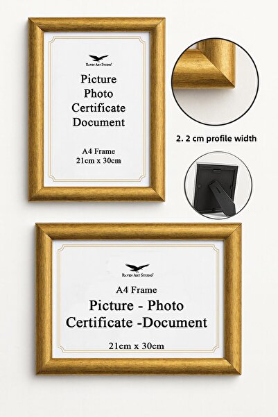 Raven Art Studio Pergamon Dimensiune A4 21cm x 30cm Imagine Fotografie Document Poster Serviciu de cadru pentru documente Protejat, rezistent la spargere Plexiglass Ca