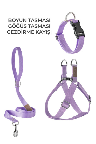 pasiole Dog Harness Walking Harness Neck Harness