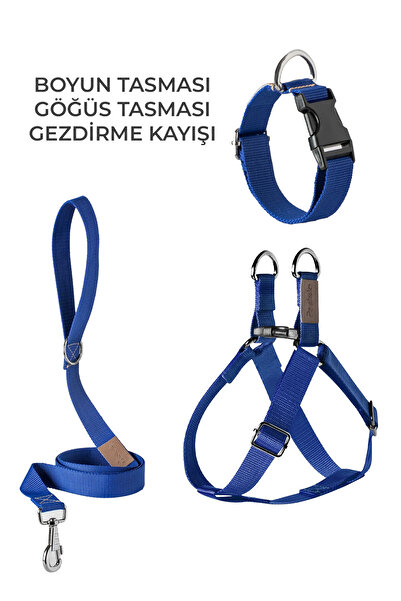 pasiole Köpek Göğüs Tasması Gezdirme Tasması Boyun Tasması