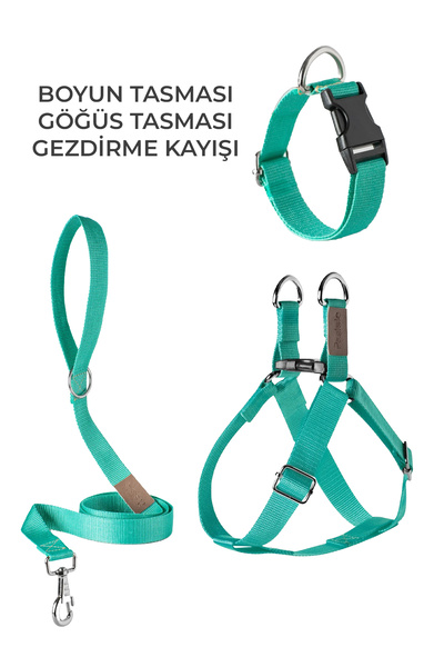 pasiole Köpek Göğüs Tasması Gezdirme Tasması Boyun Tasması