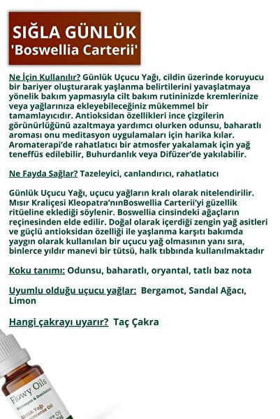 Celenzea Sığla Günlük Yağı %100 Doğal Bitkisel Uçucu Yağ Akgünlük Yağı Frankincense Oil 10ml