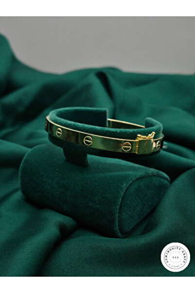 Luminosity Graft 6mm 925 Ayar Gümüş Modern Çivili Altın Kaplama Düz Model Kad...