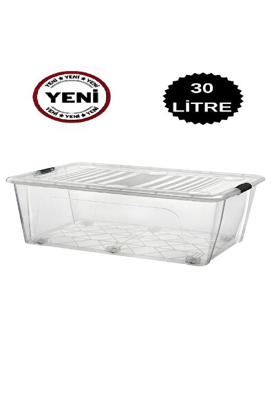 DEEMBRO 30 Lt Large Storage Box Storage Container 2 Color Options 36X 51.2 X 22.7 cm