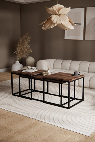 Phobia Solto Home SC9-12 Siyah Metal Dikdörtgen Ceviz Renk Orta Sehpa ve Zigo...