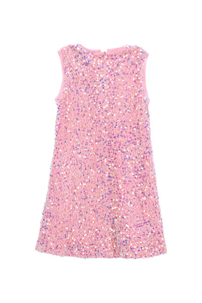 Barbie Pullu Gül Kurusu Kız Çocuk Abiye Elbise BRB5WG-ELB6660