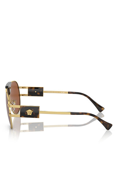 Versace Men's Sunglasses 0Ve225263147073