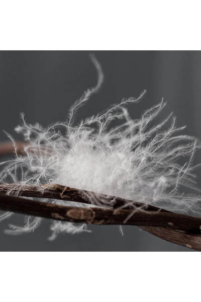 Salbace 100% Goose down Filled Single Goose down Comforter 155X215