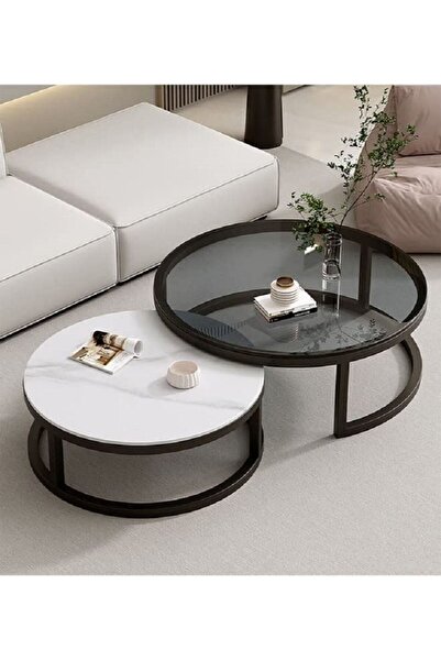 Domuik Minimalist Coffee Tables Tables With Creative Transparent Rock Desktop...