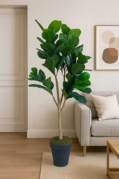 MAKİ DEKOR YAPAY KAUÇUK AĞACI 150 CM DEKORATİF, MODERN , İÇ MEKAN BİTKİSİ