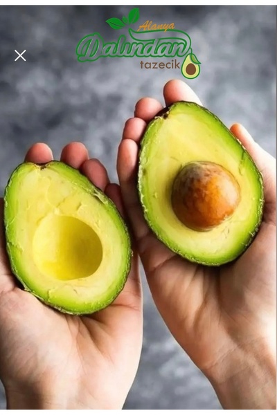 Fruit Paradise 1 Kg Mini Avokado (BEBEK VE ÇOCUKLAR IÇİN IDEAL BOY)