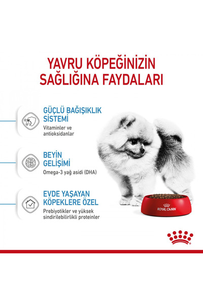Royal Canin Mını Indoor Puppy Küçük Irklar Için Indoor Yavru Kuru Köpek Maması 1.5kg