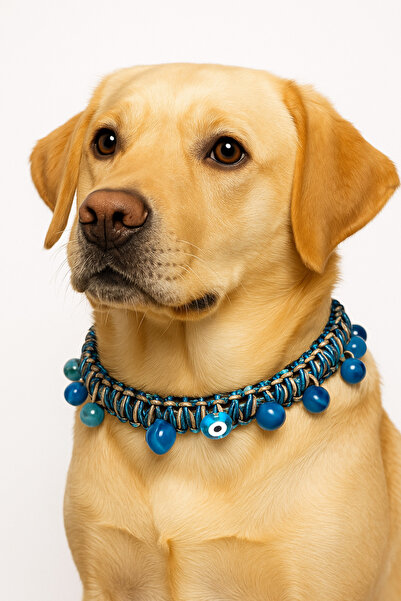 She Sells قلادة Ocean Kuçi-Kuçiko متعددة الألوان للقطط والكلاب مع تفاصيل من ا...