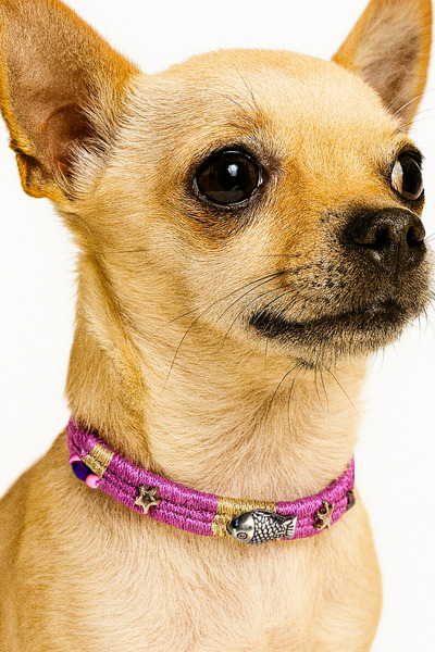 She Sells قلادة كوتشيكو للكلاب مع خرز متعدد الألوان وتفاصيل سمكة (مقاس 30 سم M)