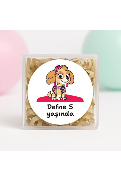 repro design Kişiye Özel Skye (Paw Patrol)Temalı Doğum Günü Baskılı Yapışkanl...