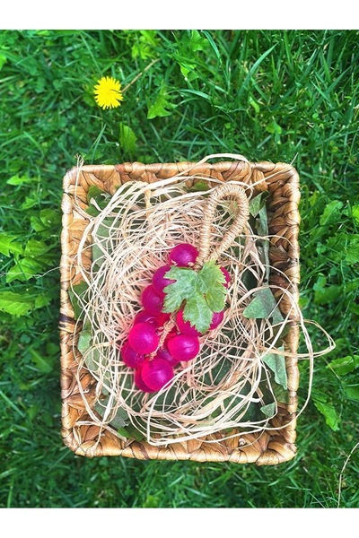 ALALUNARTS صابون العنب المصنوع يدويًا - أوزبكي