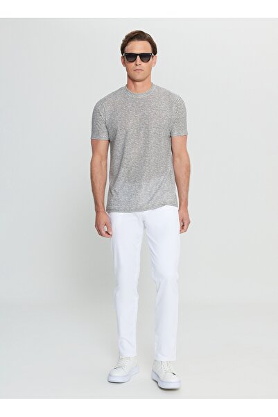 ALTINYILDIZ CLASSICS Ανδρικό μπλουζάκι με ριγέ λαιμόκοψη λευκό - γκρι ACE091252395_BGR