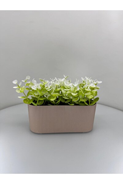 motiev ÇİZGİLİ YATAY SAKSIDA OKALİPTUS KREM BEYAZ