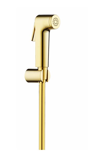 HESANIT رشاش شطاف لوجيك مع انبوب وحامل حائط - ذهبي