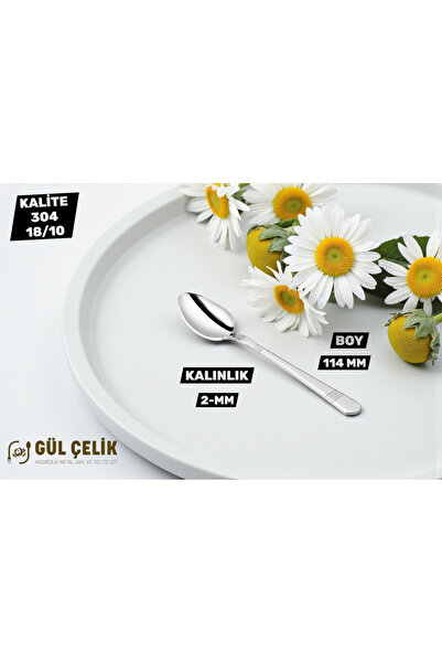 KAVEH 12-Piece Tea Spoon Alvina Model 304 Quality 18/10 Stainless Steel