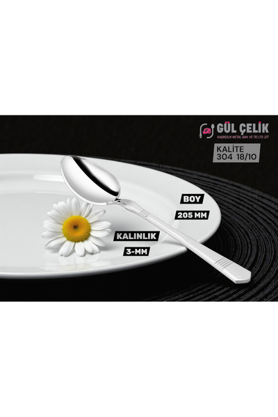KAVEH 12-Piece Dinner Spoon Alvina Model 304 Quality 18/10 Stainless Steel