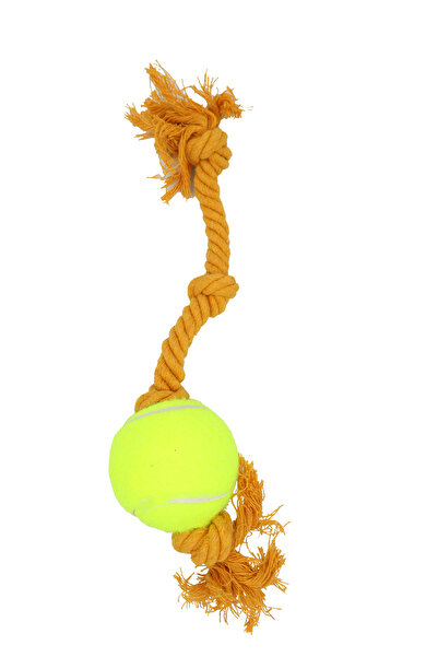 Eva & Wall-e Tennis Ball Bulk Rope Dog Toy |   Durable Pull String Fetch Ball for Medium and Large Breeds