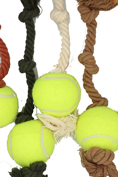 Eva & Wall-e Tennis Ball Bulk Rope Dog Toy | Durable Pull String Fetch Ball for Medium and Large Breeds