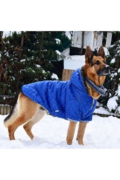DOGİ&DOG Büyük Irk Mavi Puf Köpek Montu-köpek Yağmurluğu