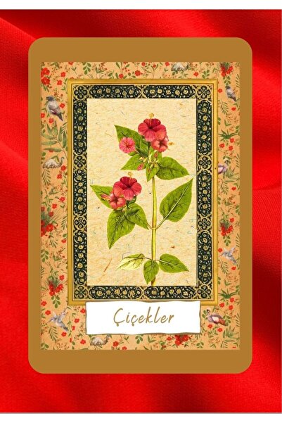 Tarot Serüveni Klasik Katina Deste