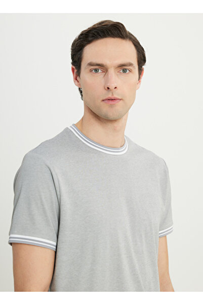 ALTINYILDIZ CLASSICS Altınyıldız Classics Crew Neck Plain Light Gray Men's T-Shirt Ace091252105_Agr