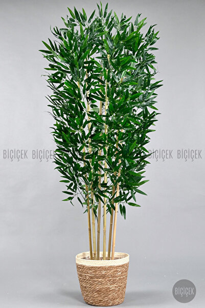 BİÇİÇEK Yapay bambu ağacı 170cm krem şeritli Hasır saksıda